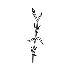 vector illustration of small leaves and flowers