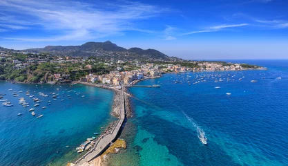 Foto auf Acrylglas Mittelmeereuropa Panoramic view of Ischia Ponte in Italy.