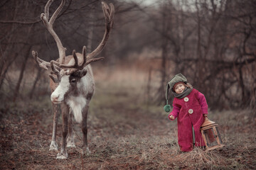 Little girl in red elf costume in the woods with grey deer