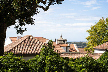 View of beautiful red tiled roofs and green trees frame