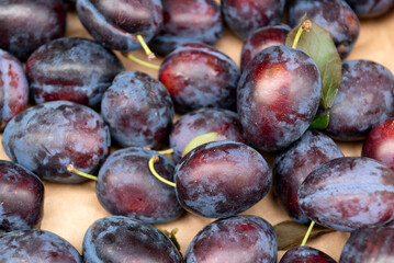 Purple plums