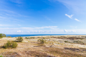 Fototapeta na wymiar Curonian Spit, natural landscape photo. Coastal dunes