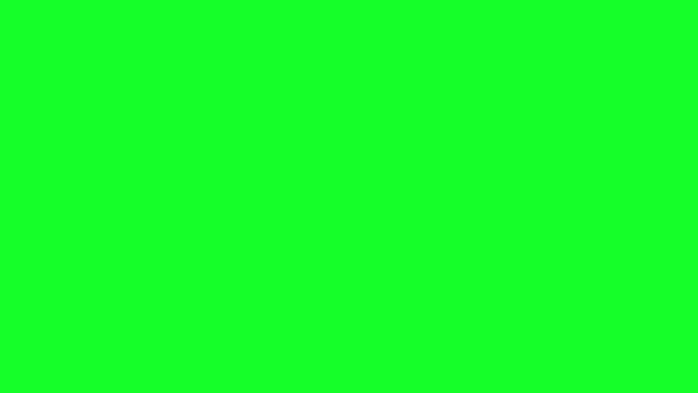 Success Animated on green background for chroma Key. Success word Template in 4K Resolution. 