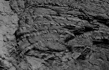 Landscape, river, forest, flower, flower, mountain, geology