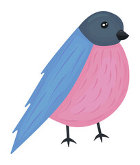 Bird bullfinch vector colorful illustration in pink and blue shades