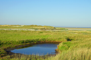 Salz Wiesen Sankt-Peter-Ording