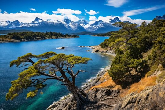 Scenic landscapes of Argentina's Patagonia, including Bariloche Island, Isla Victoria, and Arrayanes Forest. Generative AI