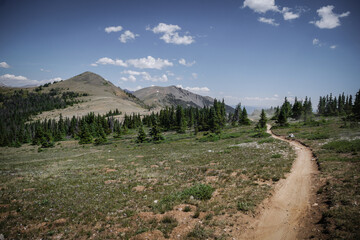 Wide view of trail through alpine tundra in mountains near Aspen Colorado in summer