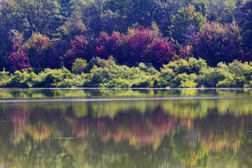 Early autumn landscape in Oka national park, Canada