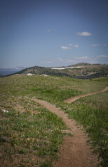 Trail running through grassy meadows under mountains in summer in Colorado near Aspen