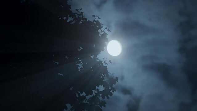 Spooky Dark Mystery Night Mood Of Full Moon Planet In Space Universe