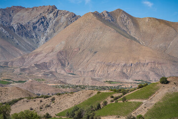 Weinfelder in Chile, Valle de Elqui