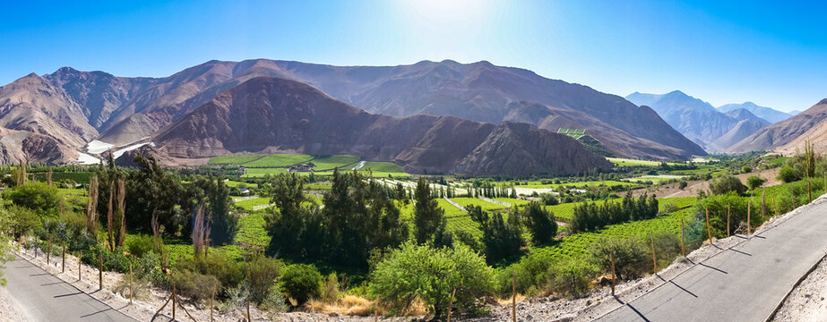 Weinfelder in Chile, Valle de Elqui