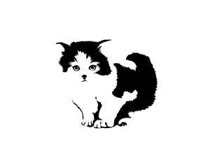 cat logo
