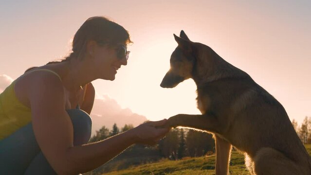 CLOSE UP, LENS FLARE: Cute dog gives paw to its cheerful owner in golden light. Young woman is proud of her obedient doggo who learned a trick. Nice sunny autumn day for an evening dog walk in nature