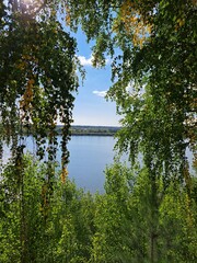 lake in the forest