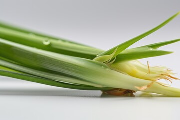 Close-Up Shot of a Celery Stalk Cut in Half - Fresh and Crisp Green Vegetable