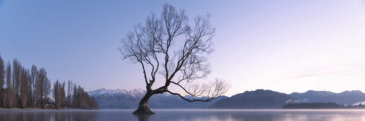 Wanaka Tree panorama New Zealand landscape at sunrise