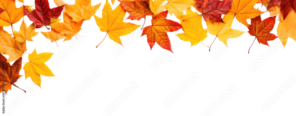 Canvas Prints frame of scattered autumn dry red-orange maple leaves, png file of isolated cutout object on transpa