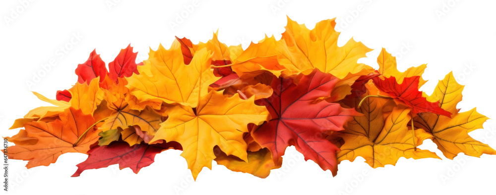 Canvas Prints a pile of scattered autumn dry red-orange maple leaves, png file of isolated cutout object on transp
