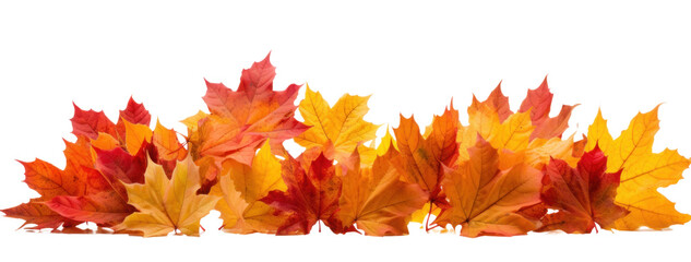 a pile of scattered autumn dry red-orange maple leaves, png file of isolated cutout object on transparent background.