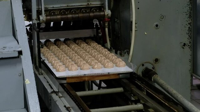 Confectionery factory. Zephyr and marshmallows forming process