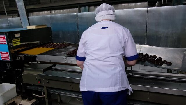 Confectionery worker sorting glazed marshmallows on conveyor belt