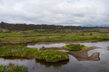 Swampy Landscape in Thingvellir National Park, Iceland.