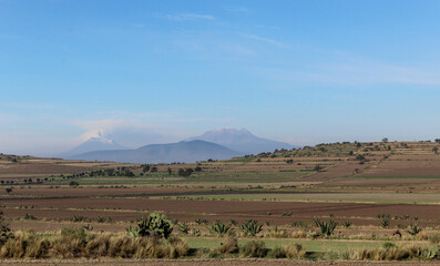 Fototapeta premium Paisaje con volcanes de fondo, nopales, magueyes, pasto y tierras para cultivo. 