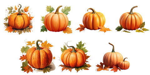 Png Set An isolated transparent background surrounds an orange pumpkin adorned with fall leaves