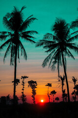 sunset in rice fields, coconut trees lined with sunset background and blue sky, indonesia