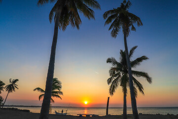 beach with sunset in the afternoon, beach with coconut trees, east java indonesia