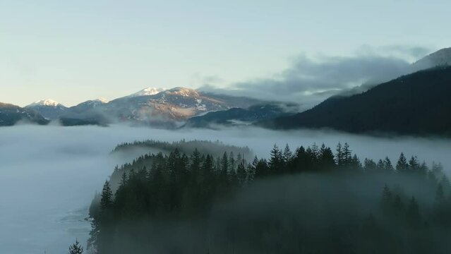 Green Trees in Forest with Fog and Mountains. Winter Sunny Sunrise. Canadian Nature Landscape Background. Near Squamish, British Columbia, Canada. Slow Motion