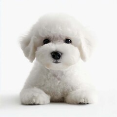 Bichon Frise's Playful Pup Charm, Generative AI