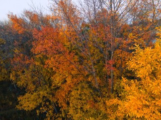 Fototapeta premium Autumn Wisconsin in USA