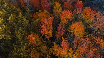 Autumn Wisconsin in USA