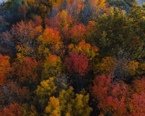 Autumn Wisconsin in USA