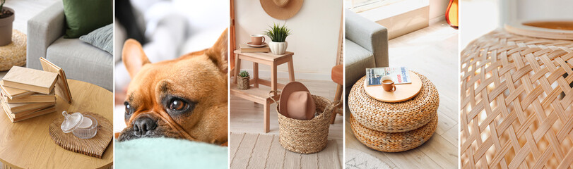 Collage of stylish rattan furniture, basket and cute French bulldog
