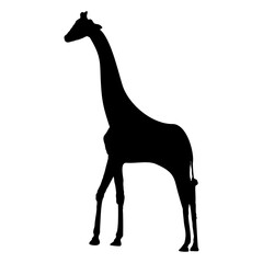 Animal vector silhouette , clip art, and symbol. Shilhouette of animal concept and simple design