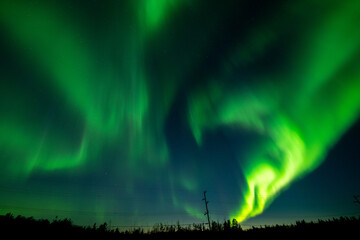 Fototapeta na wymiar Northern Light in Yellowknife, Canada