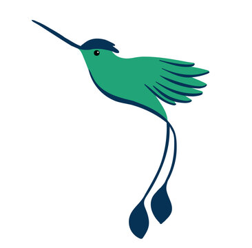 Hummingbird flying. Cute vector illustration
