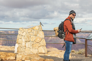 Scrub Jay on a rock and man taking pictures at a Grand Canyon National Park overlook, Arizona, USA