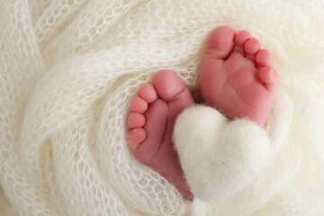 The tiny foot of a newborn baby. Soft feet of a new born in a white wool blanket
