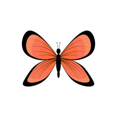 Mariposa