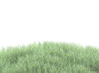 Fototapeta premium grass isolated