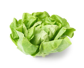 Fresh Boston lettuce on white background