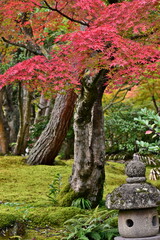由志園　紅葉　島根