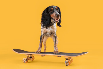Cute cocker spaniel with skateboard on yellow background - Powered by Adobe
