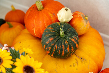 Colorful pumpkins in the interior of a bright living room