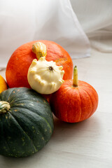 Colorful pumpkins in the interior of a bright living room